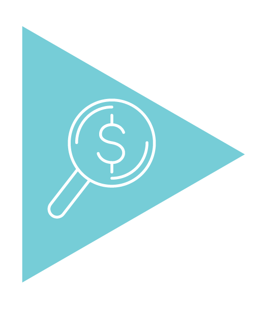 magnifying glass with dollar sign